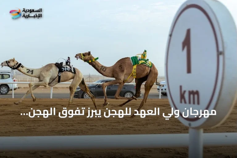 مهرجان ولي العهد للهجن يبرز تفوق الهجن الإماراتية والقطرية والفوز السعودي في الفئة الجذاع