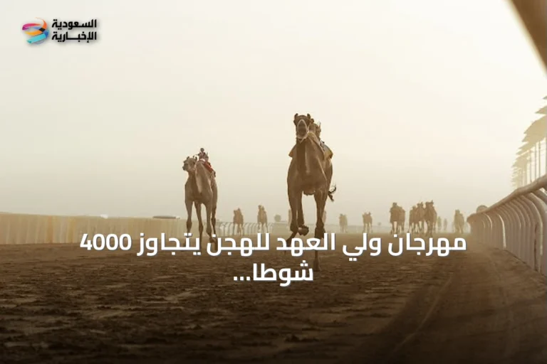 مهرجان ولي العهد للهجن يتجاوز 4000 شوطًا في يومه التاريخي