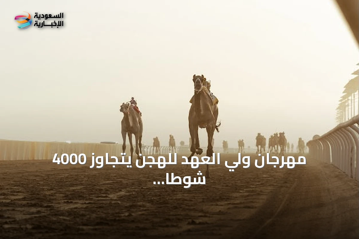 مهرجان ولي العهد للهجن يتجاوز 4000 شوطًا في يومه التاريخي