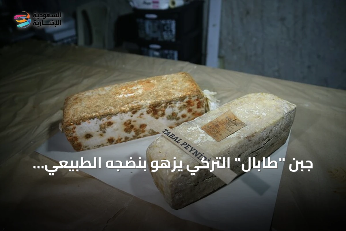 جبن "طابال" التركي يزهو بنضجه الطبيعي داخل كهف نيغدة البركاني