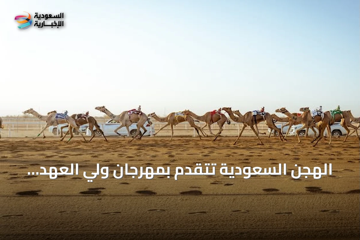 الهجن السعودية تتقدم بمهرجان ولي العهد بـ131 شوطاً قبل الختام