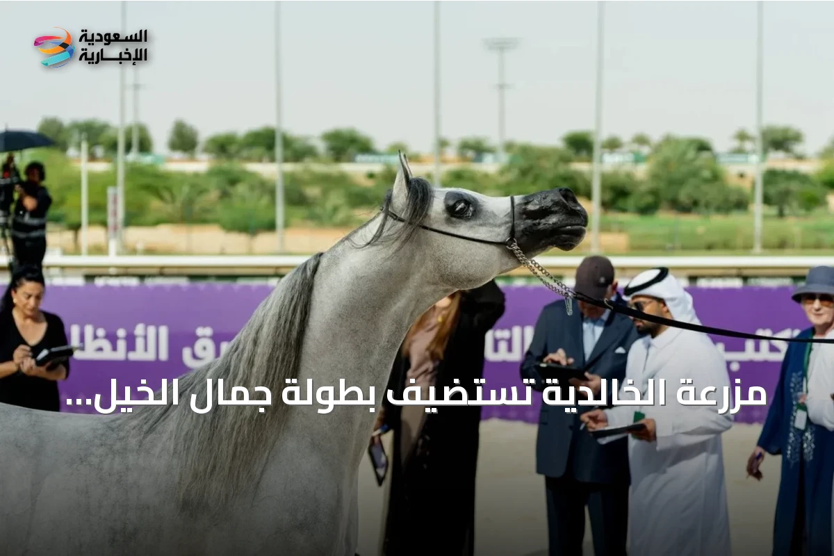مزرعة الخالدية تستضيف بطولة جمال الخيل العربية الأصيلة ابتداءً من 30 سبتمبر
