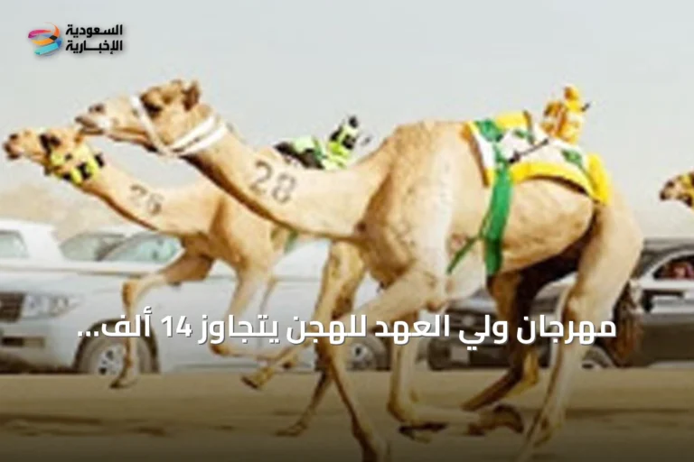 مهرجان ولي العهد للهجن يتجاوز 14 ألف كيلومتر ركضاً في ثماني نسخ