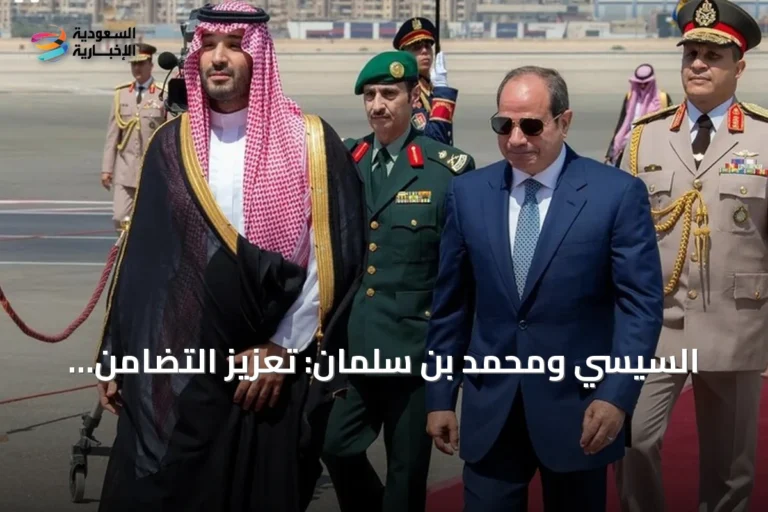 السيسي ومحمد بن سلمان: تعزيز التضامن والتنسيق في ظل التحديات الإقليمية الراهنة