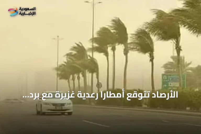 الأرصاد تتوقع أمطارًا رعدية غزيرة مع برد ورياح نشطة على مناطق جنوب وغرب المملكة