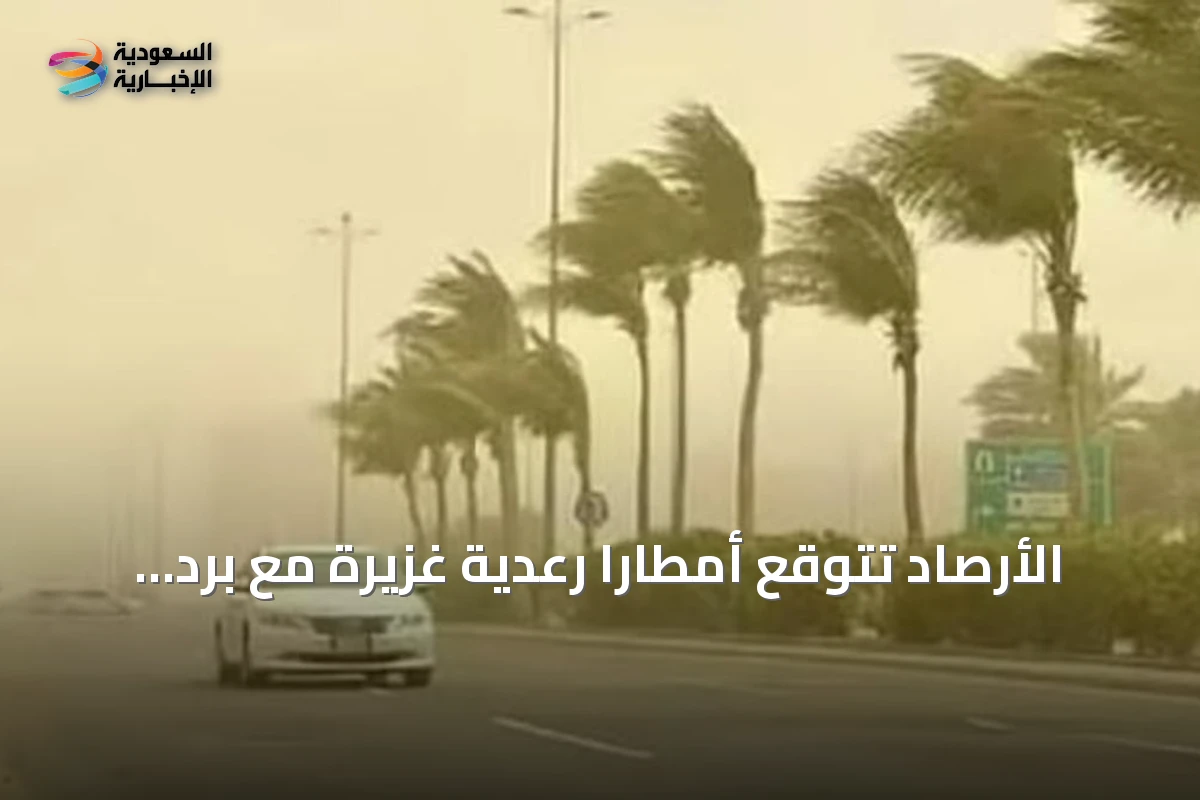 الأرصاد تتوقع أمطارًا رعدية غزيرة مع برد ورياح نشطة على مناطق جنوب وغرب المملكة