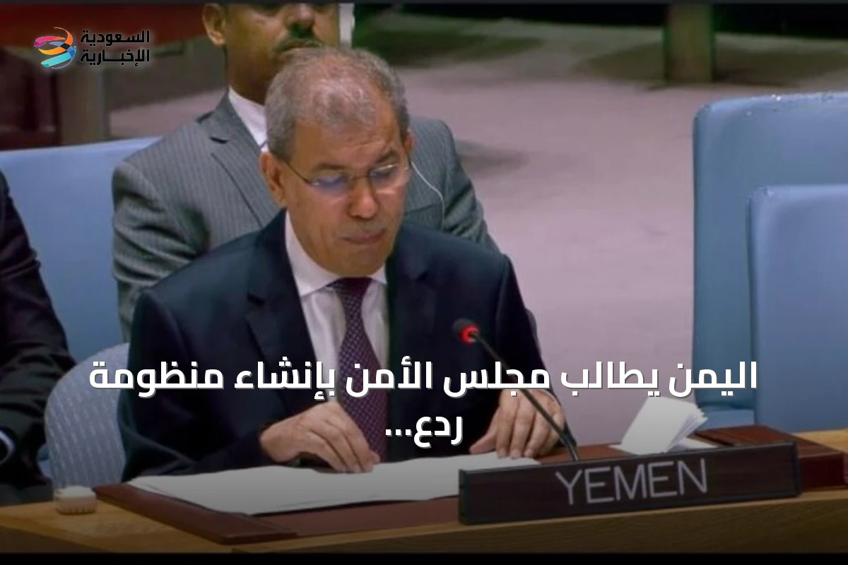 اليمن يطالب مجلس الأمن بإنشاء منظومة ردع لحماية باب المندب