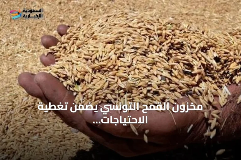 مخزون القمح التونسي يضمن تغطية الاحتياجات حتى يناير