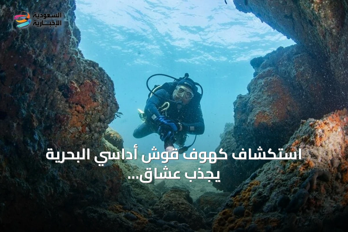 استكشاف كهوف قوش أداسي البحرية يجذب عشاق الغوص من داخل تركيا وخارجها