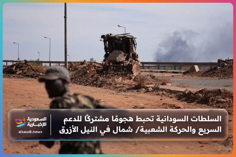 السلطات السودانية تحبط هجومًا مشتركًا للدعم السريع والحركة الشعبية/ شمال في النيل الأزرق