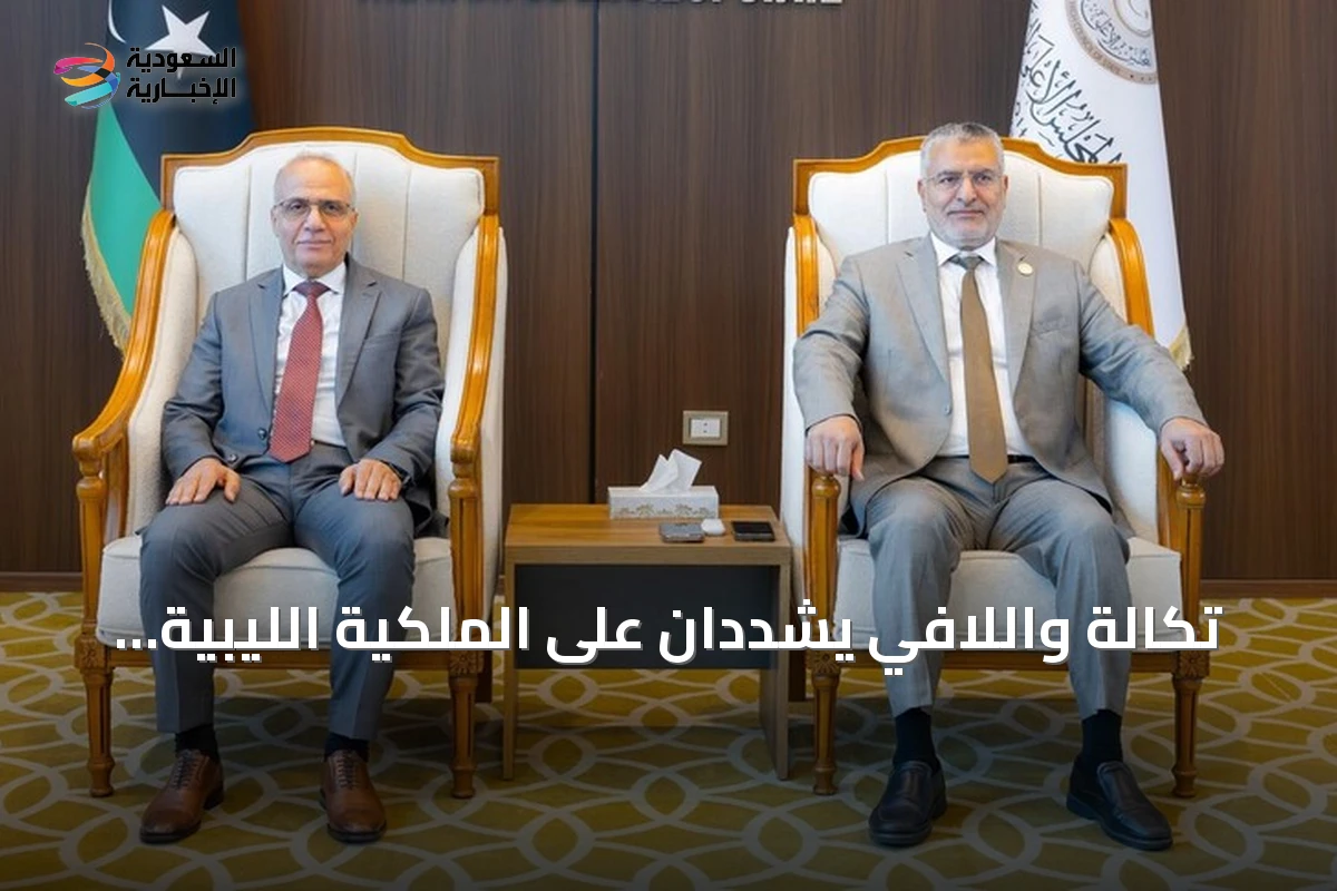 تكالة واللافي يشددان على الملكية الليبية للمسار السياسي ويدعوان للالتزام بالإطارات الدستورية