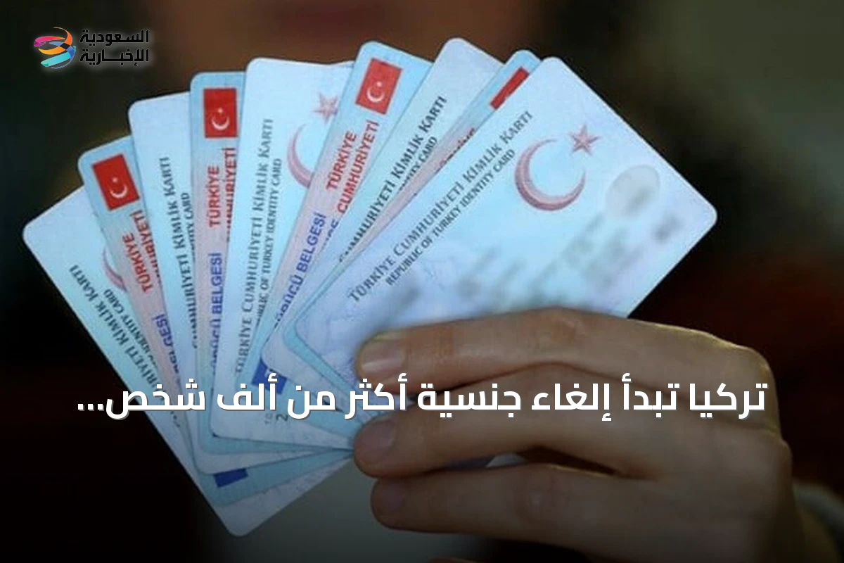 تركيا تبدأ إلغاء جنسية أكثر من ألف شخص بسبب معاملات عقارية وهمية