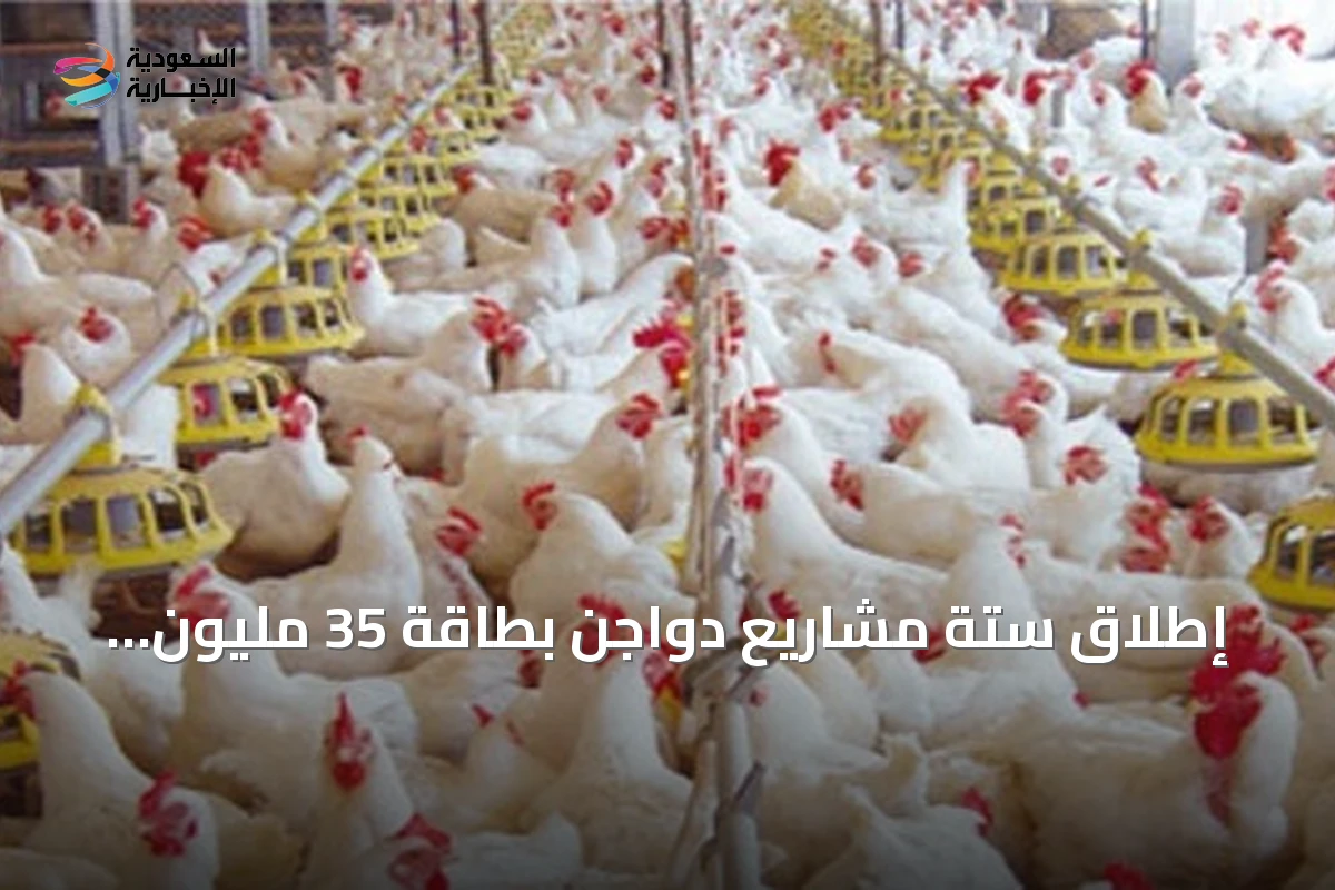 إطلاق ستة مشاريع دواجن بطاقة 35 مليون طائر وعرض 20 فرصة استثمارية بمنطقة مكة