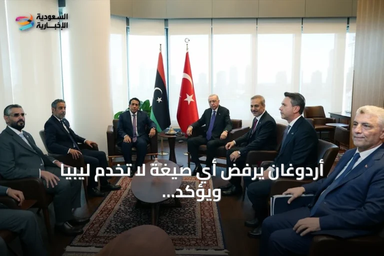 أردوغان يرفض أي صيغة لا تخدم ليبيا ويؤكد دعم أنقرة للاستقرار