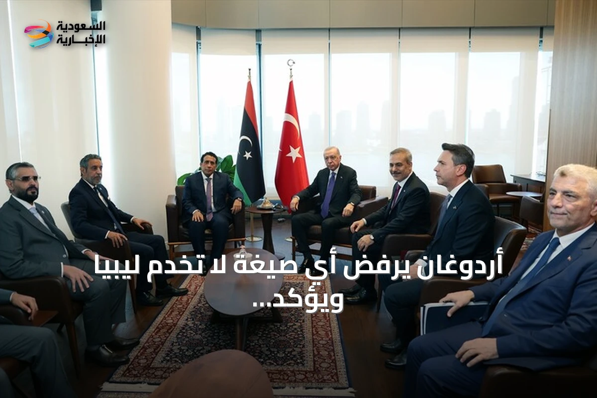 أردوغان يرفض أي صيغة لا تخدم ليبيا ويؤكد دعم أنقرة للاستقرار