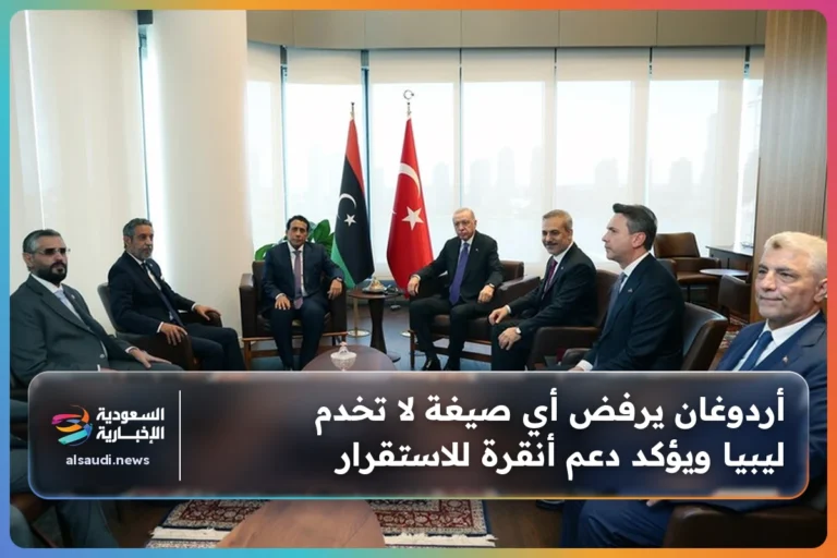 أردوغان يرفض أي صيغة لا تخدم ليبيا ويؤكد دعم أنقرة للاستقرار