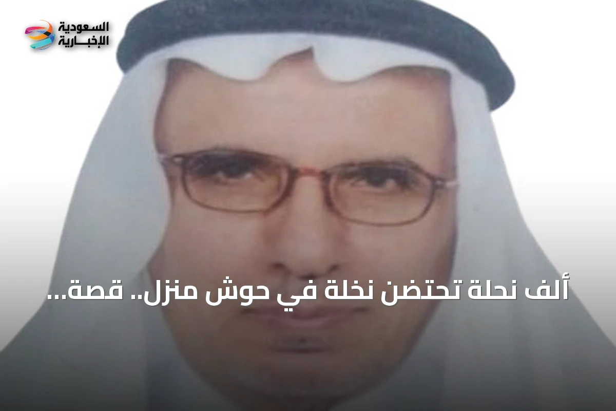 ألف نحلة تحتضن نخلة في حوش منزل.. قصة عجيبة عن الطبيعة