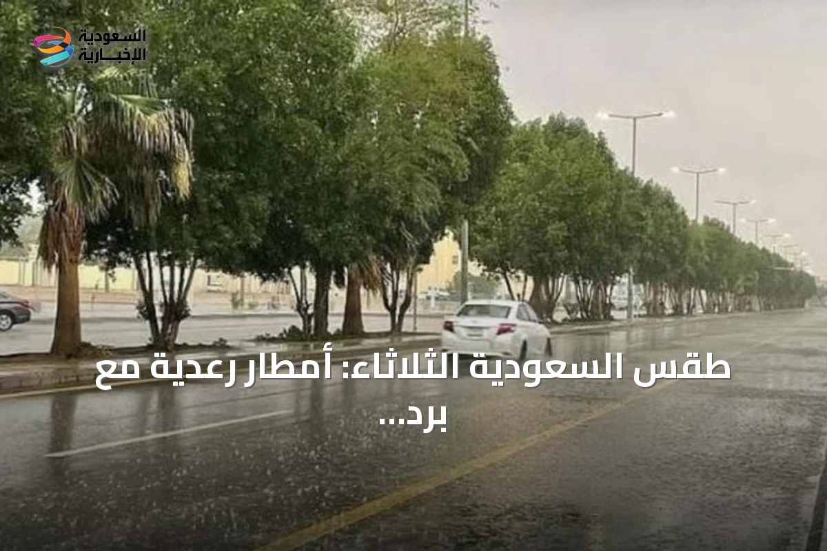 طقس السعودية الثلاثاء: أمطار رعدية مع برد وزخات ورياح مثيرة للغبار