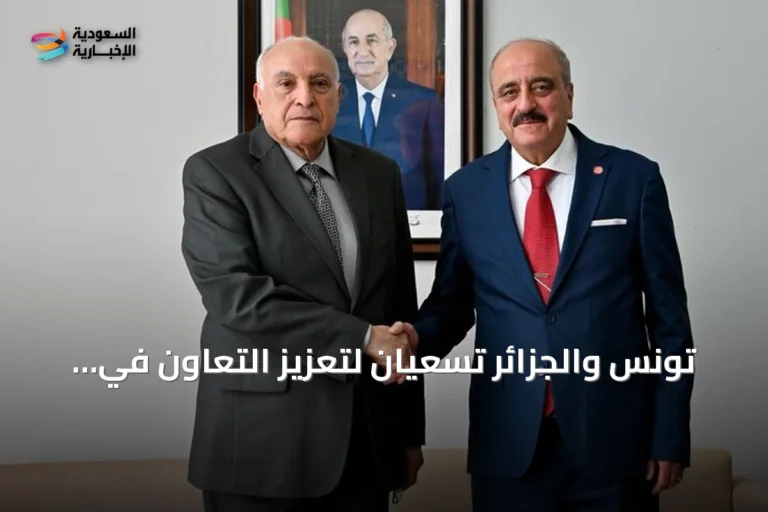تونس والجزائر تسعيان لتعزيز التعاون في النقل والطاقة والتجارة