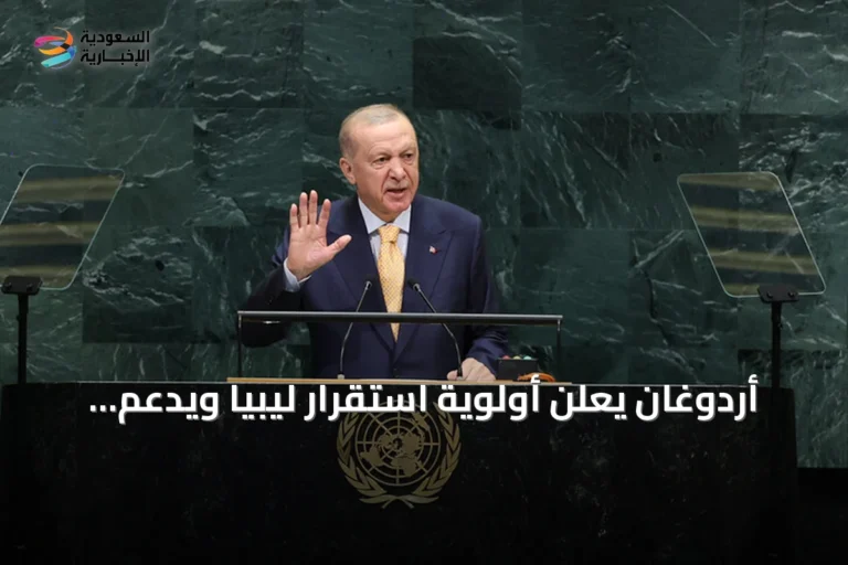 أردوغان يعلن أولوية استقرار ليبيا ويدعم جهود السلام في السودان والصومال