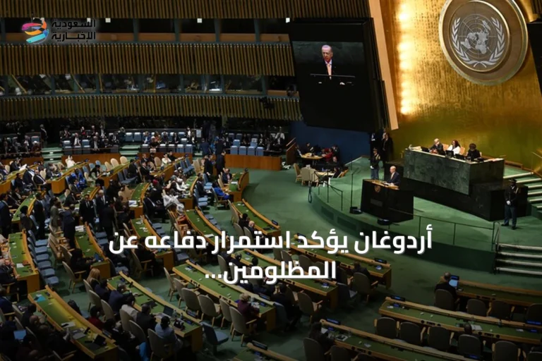 أردوغان يؤكد استمرار دفاعه عن المظلومين أمام الجمعية العامة للأمم المتحدة