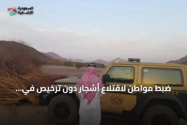 ضبط مواطن لاقتلاع أشجار دون ترخيص في المنطقة المدنية وتطبيق العقوبات