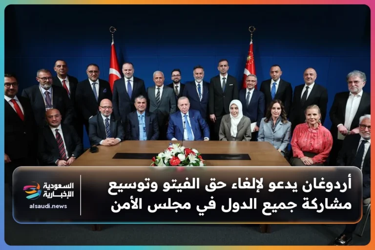 أردوغان يدعو لإلغاء حق الفيتو وتوسيع مشاركة جميع الدول في مجلس الأمن