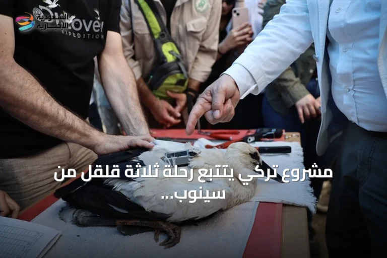 مشروع تركي يتتبع رحلة ثلاثة قلقل من سينوب إلى سوريا ومصر