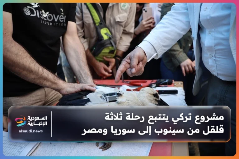 مشروع تركي يتتبع رحلة ثلاثة قلقل من سينوب إلى سوريا ومصر