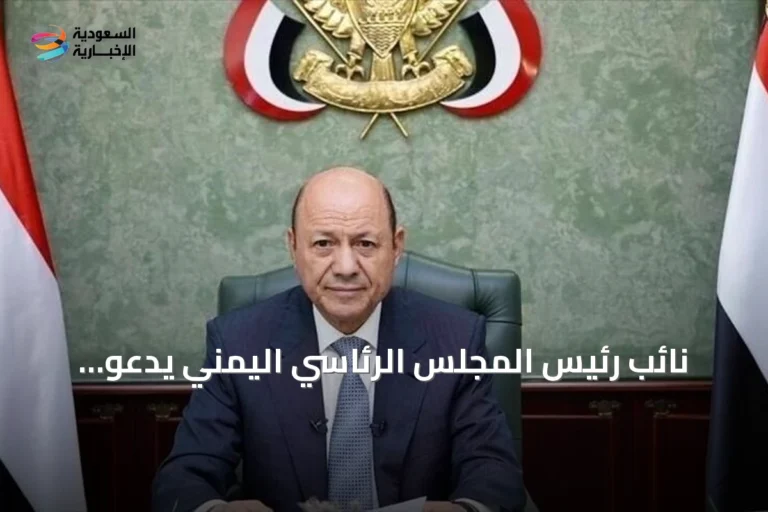 نائب رئيس المجلس الرئاسي اليمني يدعو لحماية باب المندب وتعزيز قدرات الحكومة