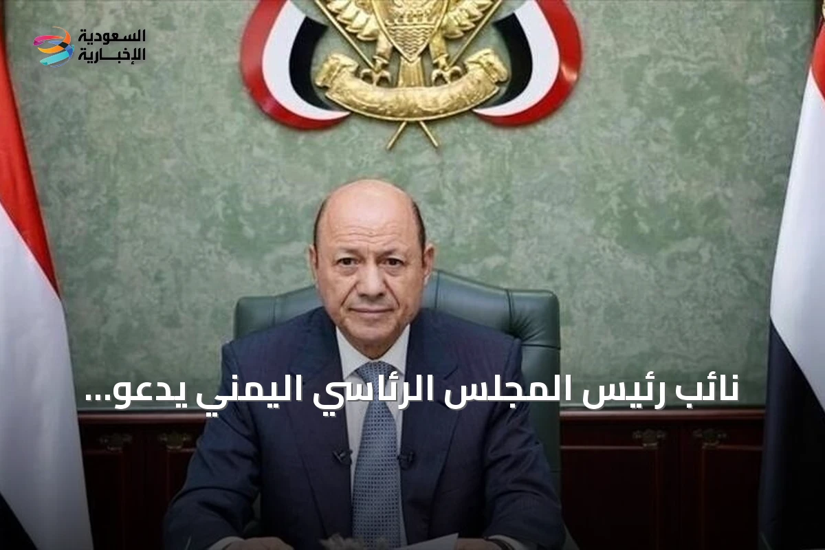 نائب رئيس المجلس الرئاسي اليمني يدعو لحماية باب المندب وتعزيز قدرات الحكومة
