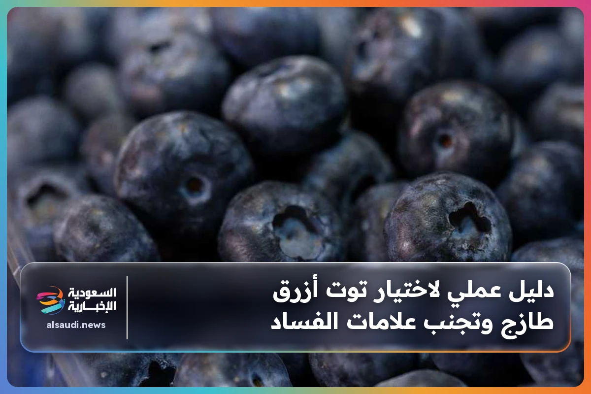 دليل عملي لاختيار توت أزرق طازج وتجنب علامات الفساد