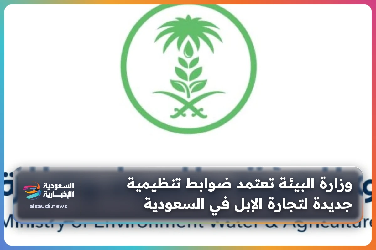 وزارة البيئة تعتمد ضوابط تنظيمية جديدة لتجارة الإبل في السعودية