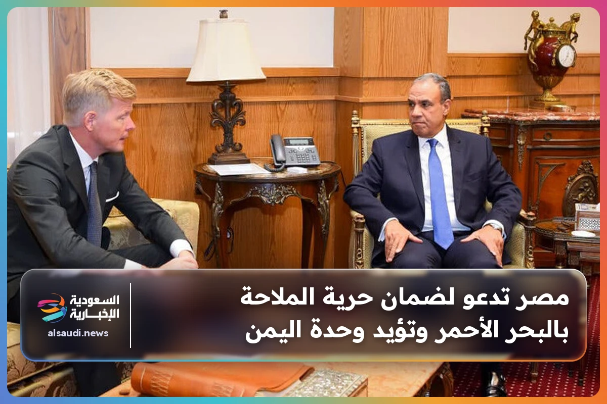 مصر تدعو لضمان حرية الملاحة بالبحر الأحمر وتؤيد وحدة اليمن