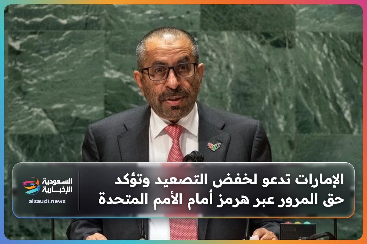 الإمارات تدعو لخفض التصعيد وتؤكد حق المرور عبر هرمز أمام الأمم المتحدة