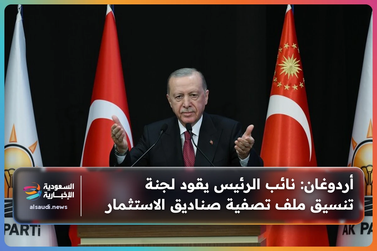 أردوغان: نائب الرئيس يقود لجنة تنسيق ملف تصفية صناديق الاستثمار