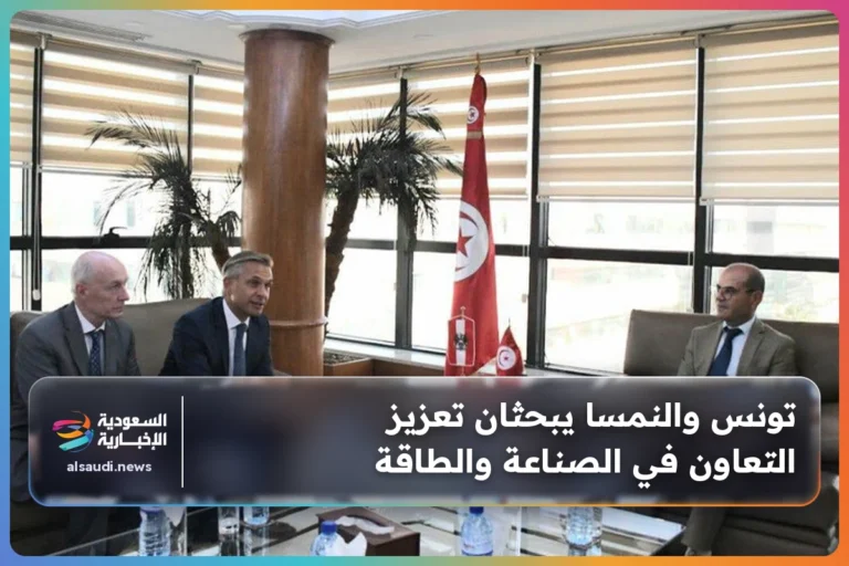 تونس والنمسا يبحثان تعزيز التعاون في الصناعة والطاقة