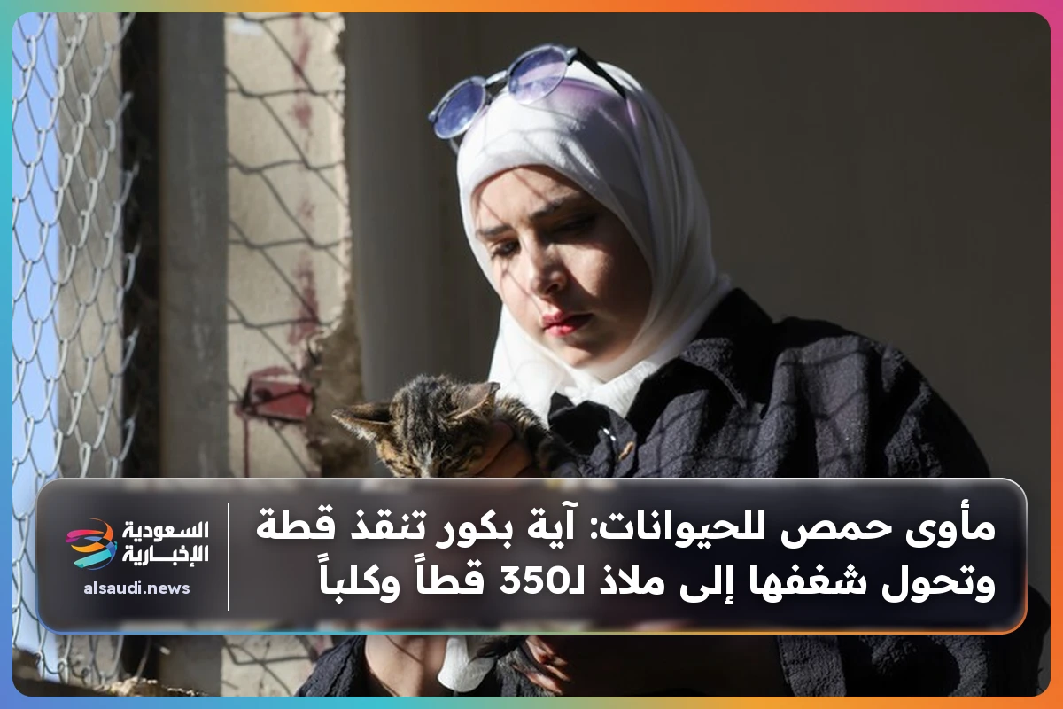 مأوى حمص للحيوانات: آية بكور تنقذ قطة وتحول شغفها إلى ملاذ لـ350 قطاً وكلباً