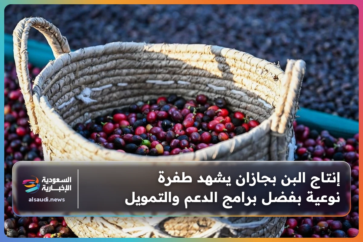 إنتاج البن بجازان يشهد طفرة نوعية بفضل برامج الدعم والتمويل