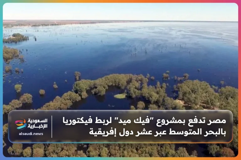 مصر تدفع بمشروع "فيك ميد" لربط فيكتوريا بالبحر المتوسط عبر عشر دول إفريقية