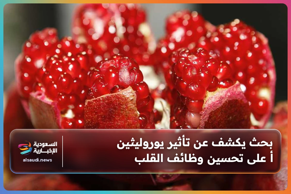بحث يكشف عن تأثير يوروليثين أ على تحسين وظائف القلب