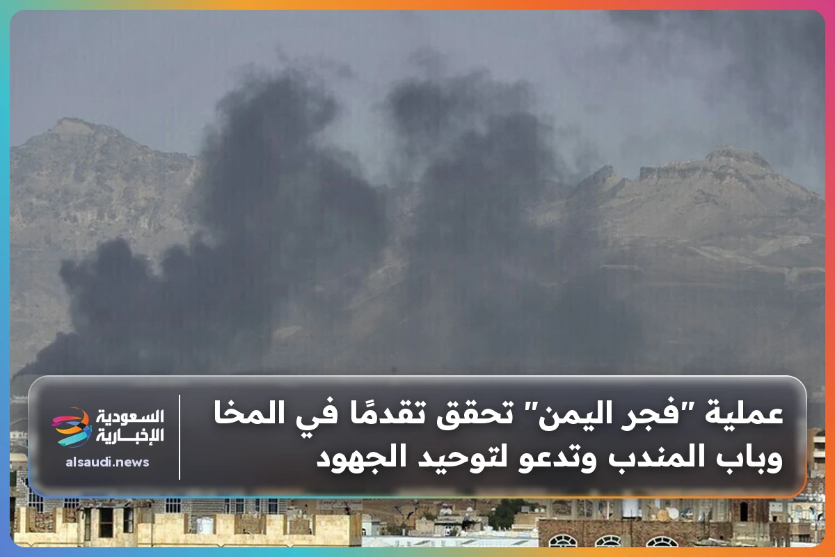عملية "فجر اليمن" تحقق تقدمًا في المخا وباب المندب وتدعو لتوحيد الجهود