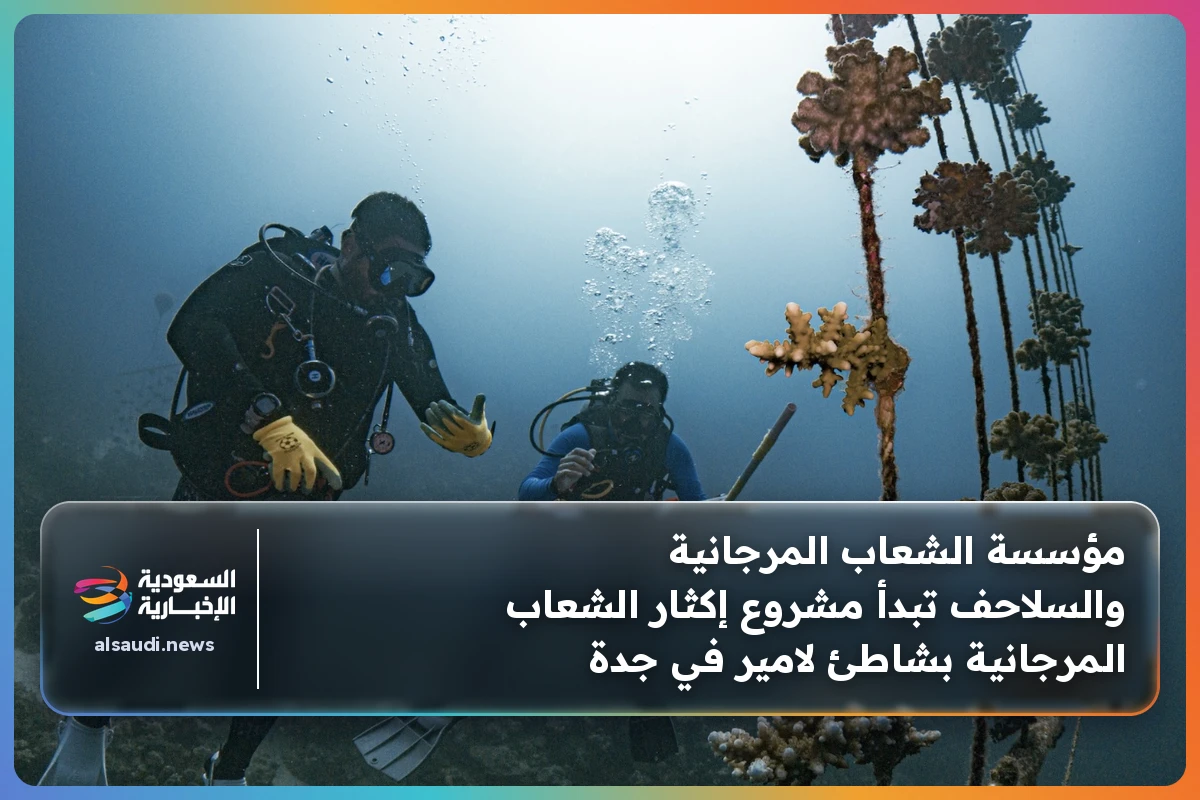مؤسسة الشعاب المرجانية والسلاحف تبدأ مشروع إكثار الشعاب المرجانية بشاطئ لامير في جدة