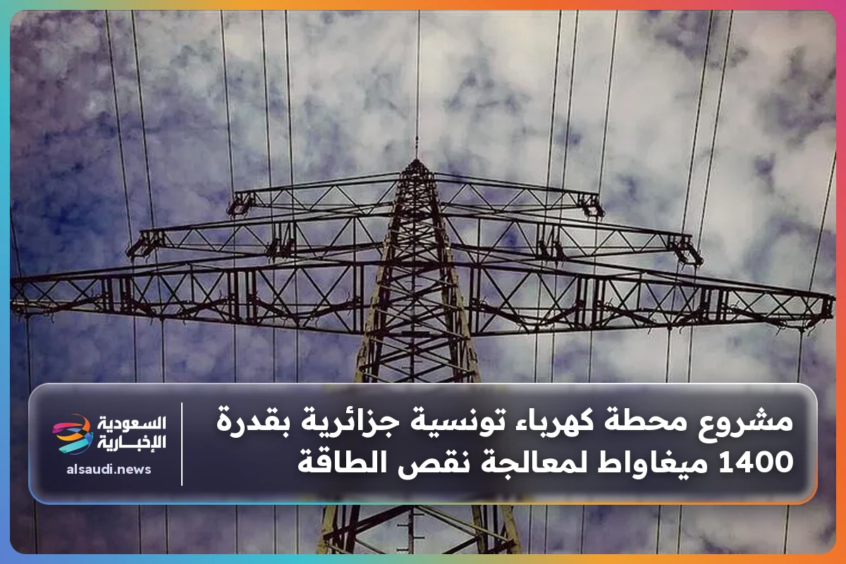 مشروع محطة كهرباء تونسية جزائرية بقدرة 1400 ميغاواط لمعالجة نقص الطاقة