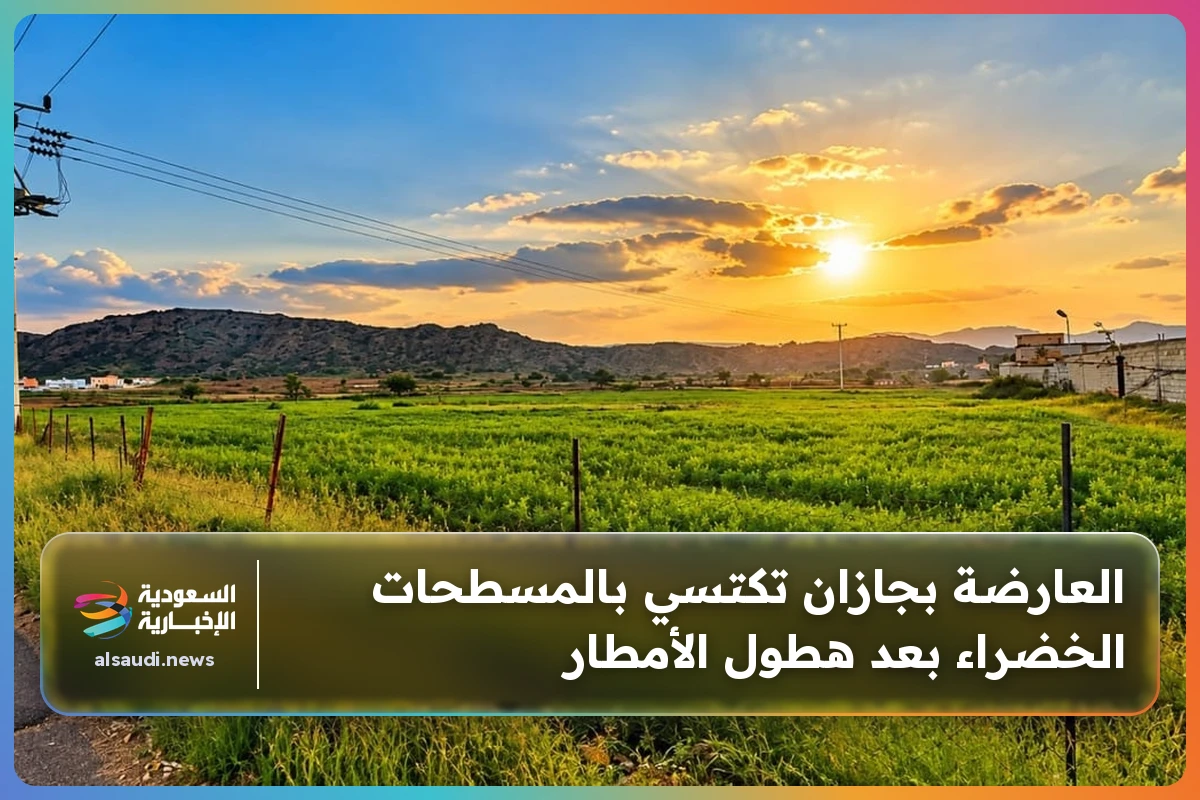 العارضة بجازان تكتسي بالمسطحات الخضراء بعد هطول الأمطار