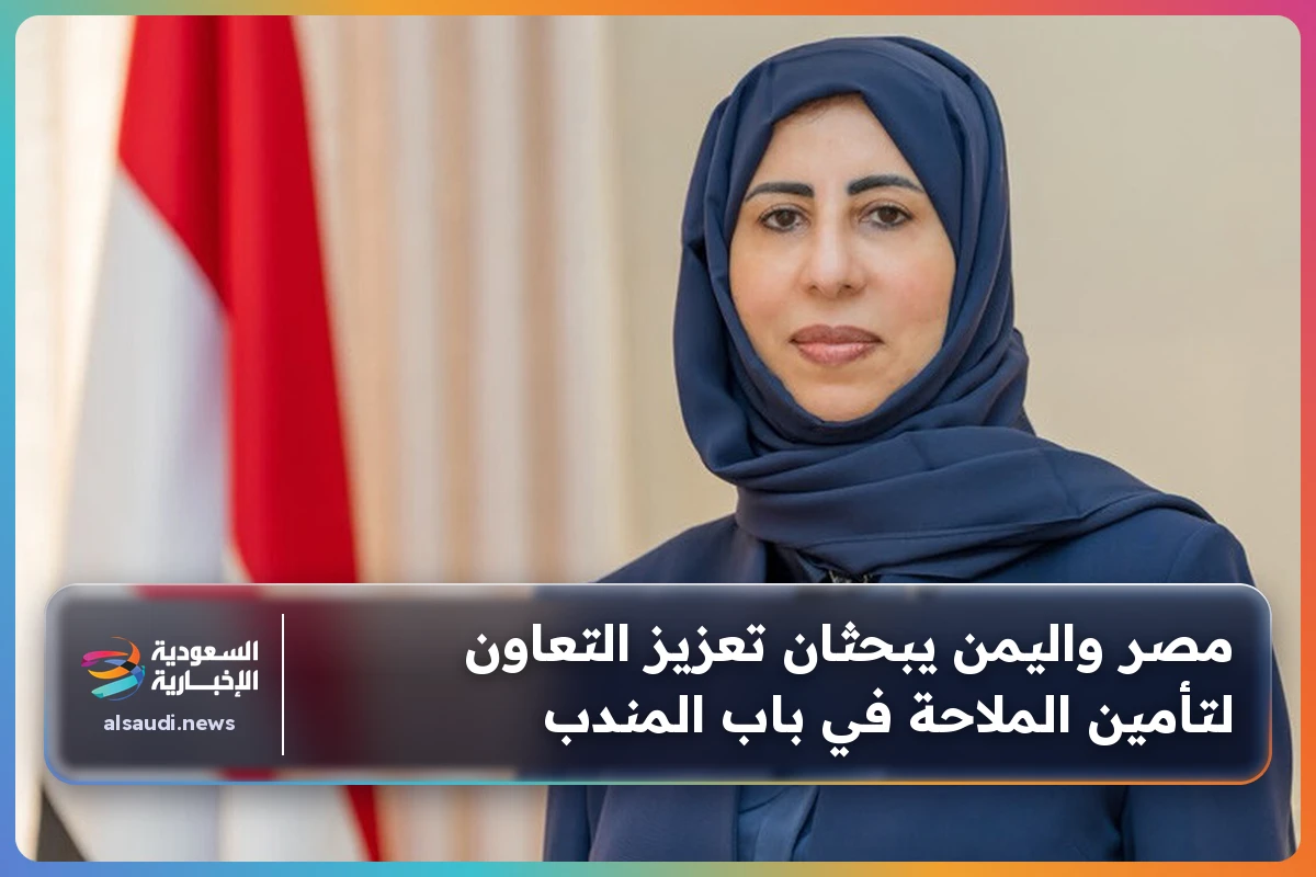 مصر واليمن يبحثان تعزيز التعاون لتأمين الملاحة في باب المندب