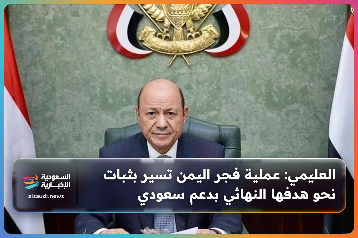 العليمي: عملية فجر اليمن تسير بثبات نحو هدفها النهائي بدعم سعودي