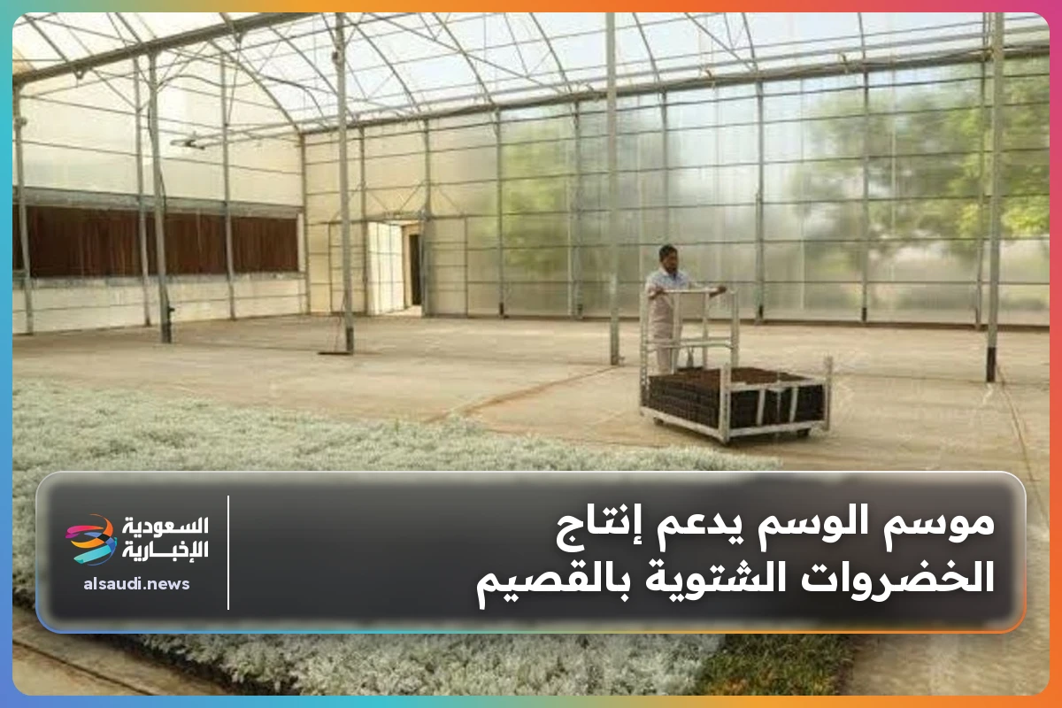 موسم الوسم يدعم إنتاج الخضروات الشتوية بالقصيم