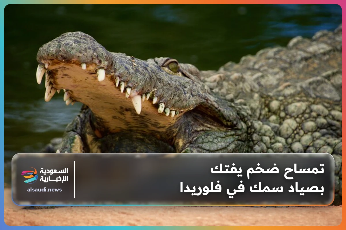 تمساح ضخم يفتك بصياد سمك في فلوريدا