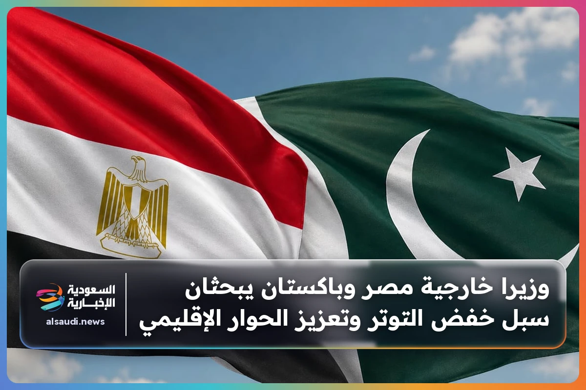 وزيرا خارجية مصر وباكستان يبحثان سبل خفض التوتر وتعزيز الحوار الإقليمي
